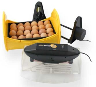 Design a Solar Poultry Waterer, Win a Brinsea Incubator! Image